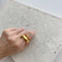chain ring